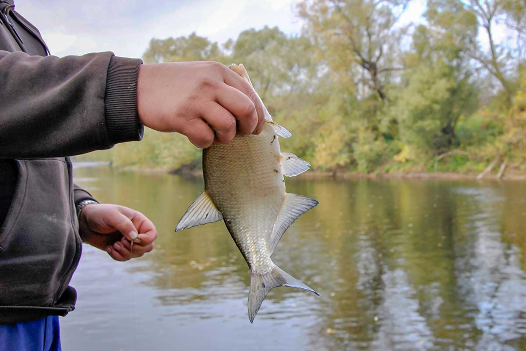 Dar ne laikas mest į kampą meškerę Dar ne laikas mest į kampą meškerę