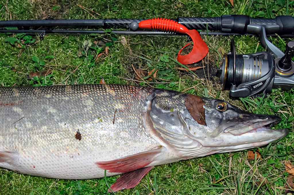 Tvisterių privalumai