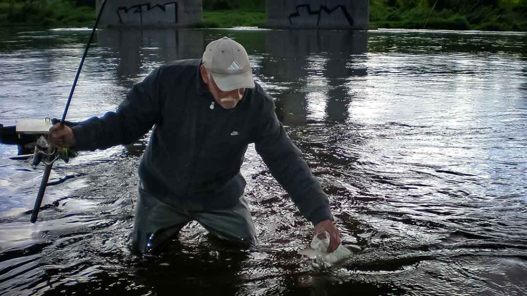 Kaip pagauti „nekimbantį“ salatį. Naktį – su vobleriais