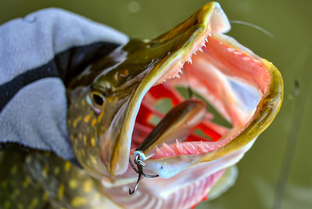 Ar sunku įsisavinti tvičingą? Ritė ir valas Ar sunku įsisavinti tvičingą? Ritė ir valas