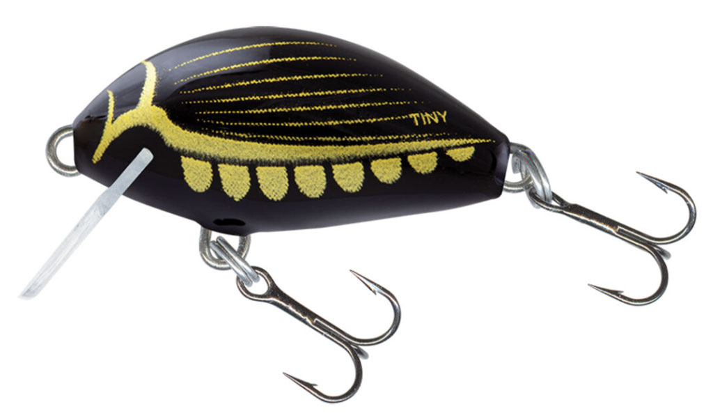 Tiny – kryptis į srovės širdį. Pirma dalis Tiny – kryptis į srovės širdį. Pirma dalis