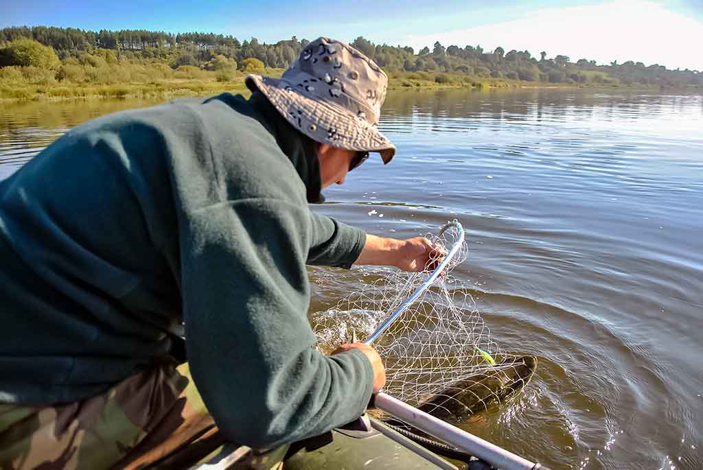 Pirmo aukšto sindromas Pirmo aukšto sindromas