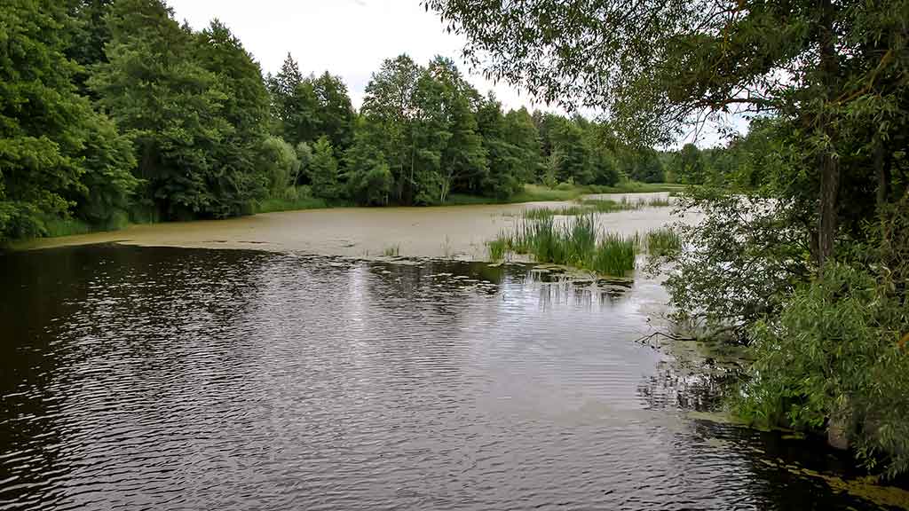 Brėkštančio ryto žuvys. Pirma dalis Brėkštančio ryto žuvys. Pirma dalis