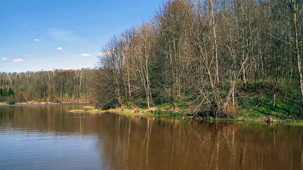 Nubudusio vandens vilionės. Pirma dalis Nubudusio vandens vilionės. Pirma dalis