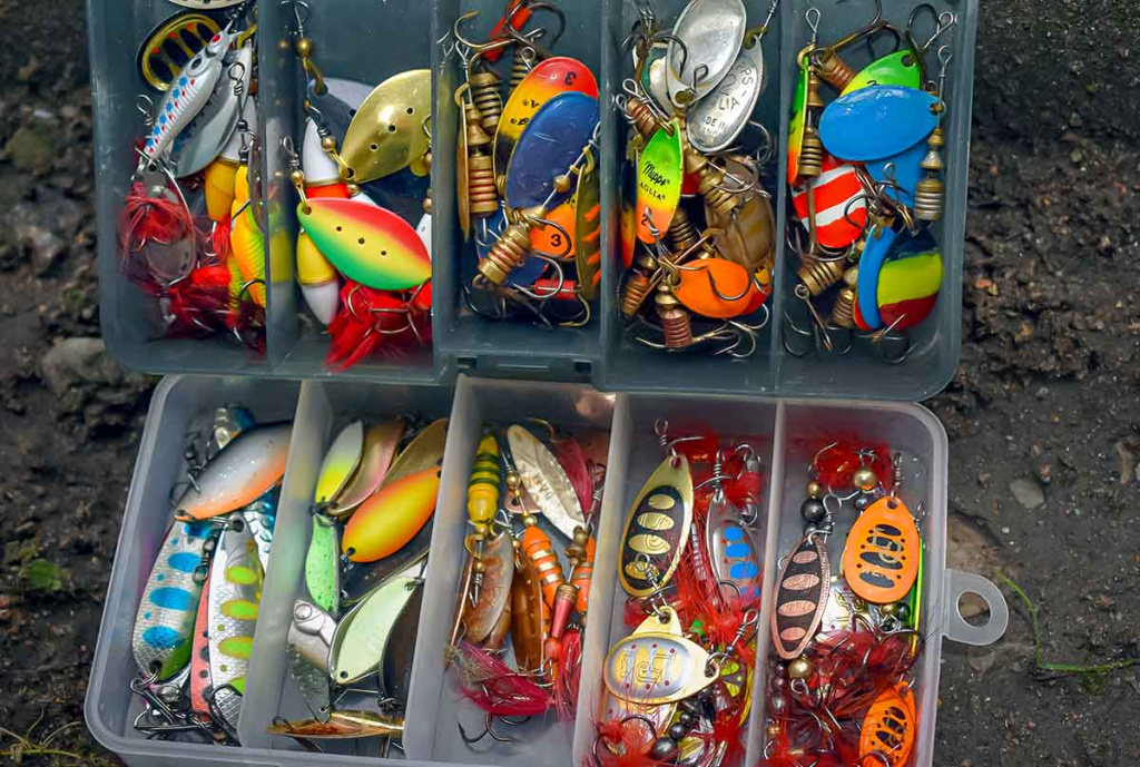 Dideli mažų upių siurprizai Dideli mažų upių siurprizai