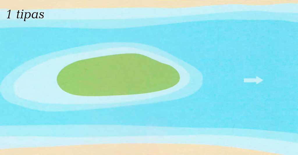 1 tipo salos 1 tipo salos