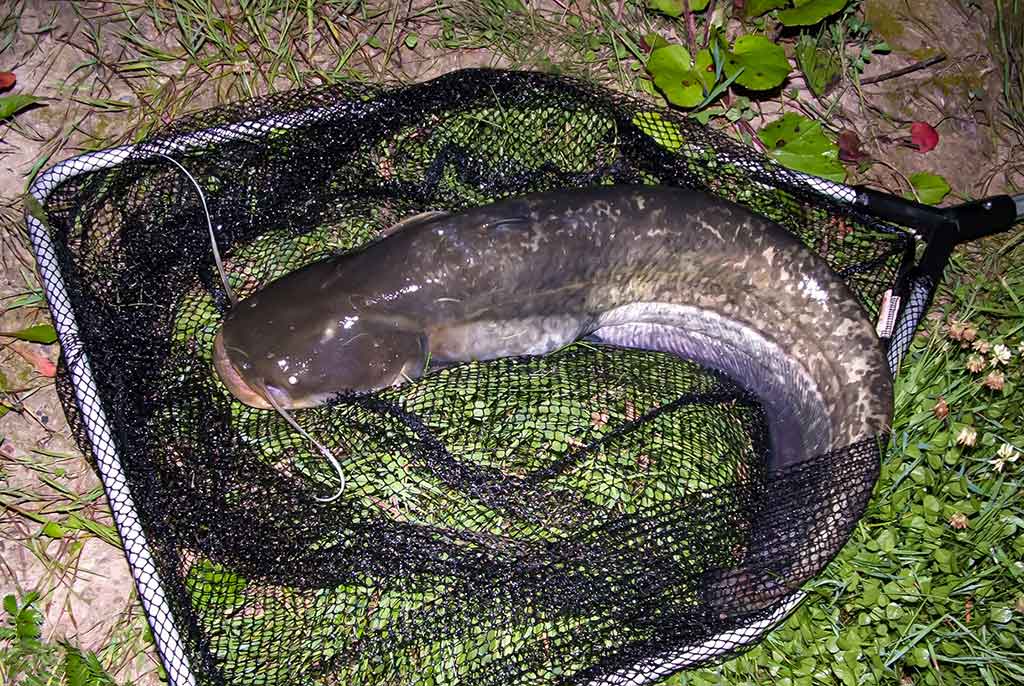 Gyvenimas po tiltu. Pirma dalis Gyvenimas po tiltu. Pirma dalis