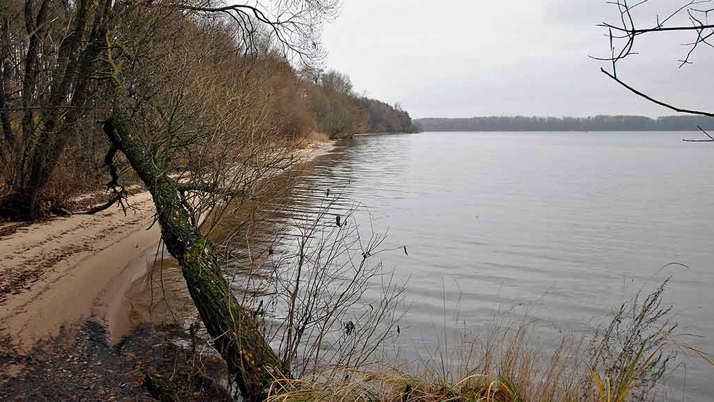 Lydekų gaudymas per darganą Lydekų gaudymas per darganą