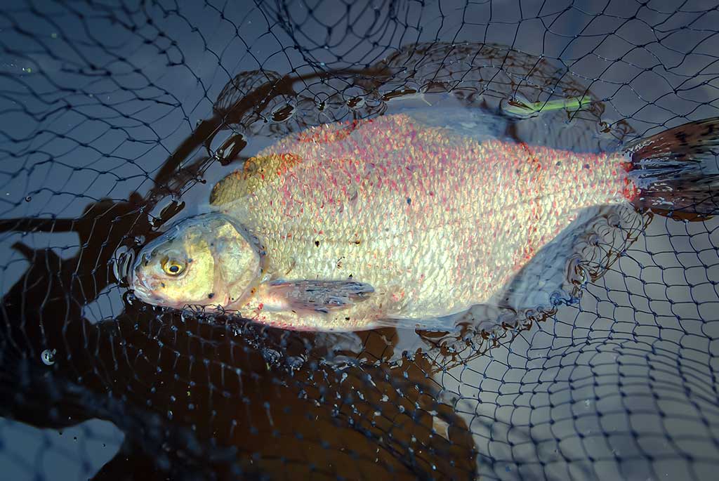 Gyvenimas po tiltu. Pirma dalis Gyvenimas po tiltu. Pirma dalis