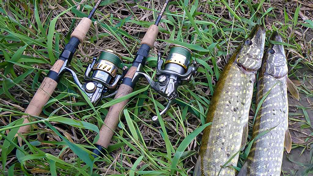 Tvisterių privalumai