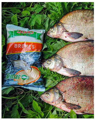 Vidurvasario karšiai. Sistemėlės plūdinei, jaukai ir masalai