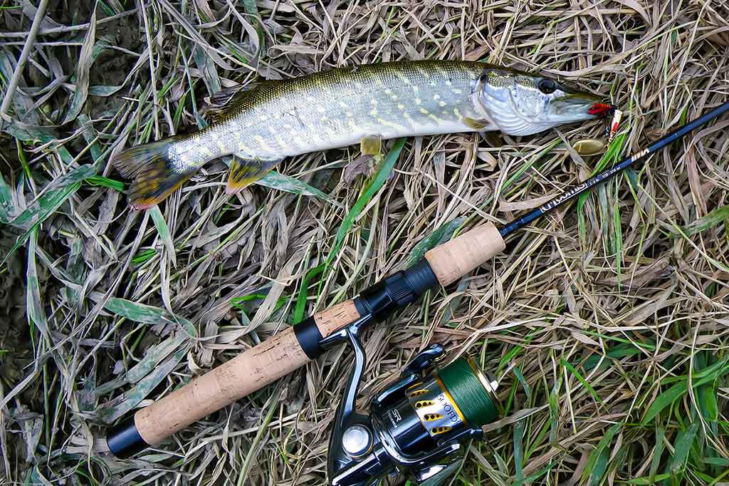 Nepailstanti žuvų viliotoja. 1 dalis