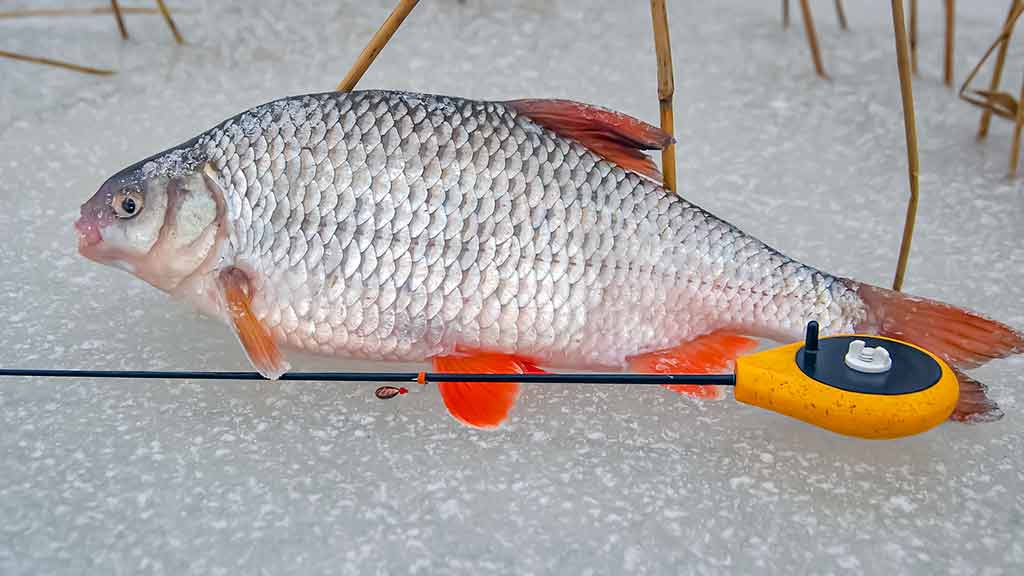 Minijoje ir šalia jos Minijoje ir šalia jos