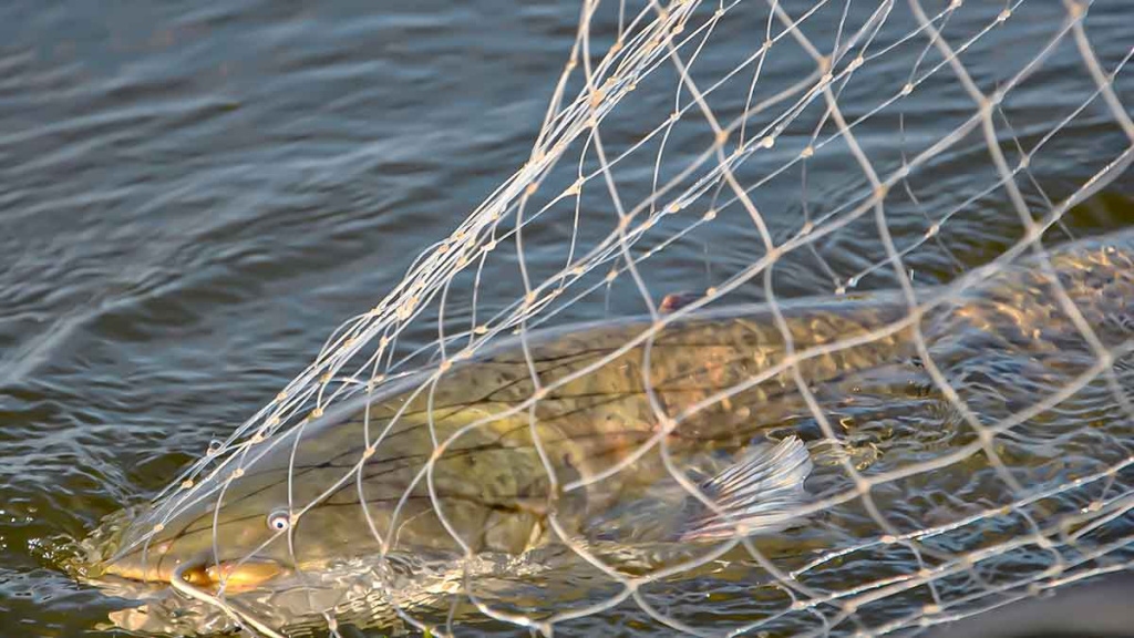 Velkiautojo „Tėve mūsų“