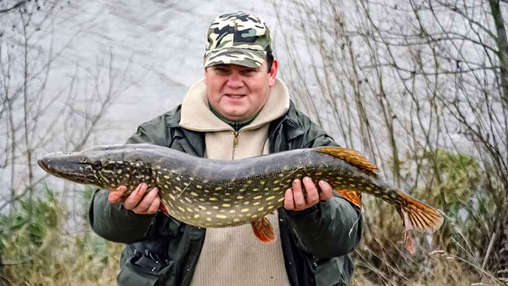 Tvisteris – ne toks paprastas, kaip atrodo Tvisteris – ne toks paprastas, kaip atrodo