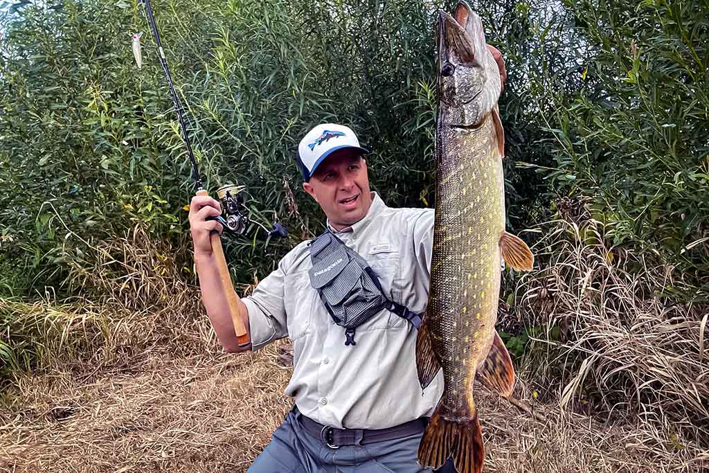 Ta gerai pažįstama mįslinga lydeka. Antra dalis