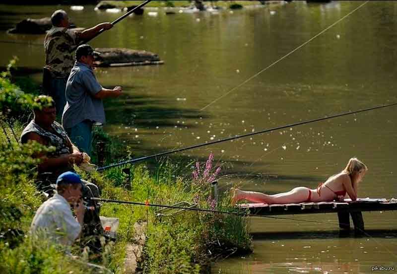 Kada neršia žuvys?