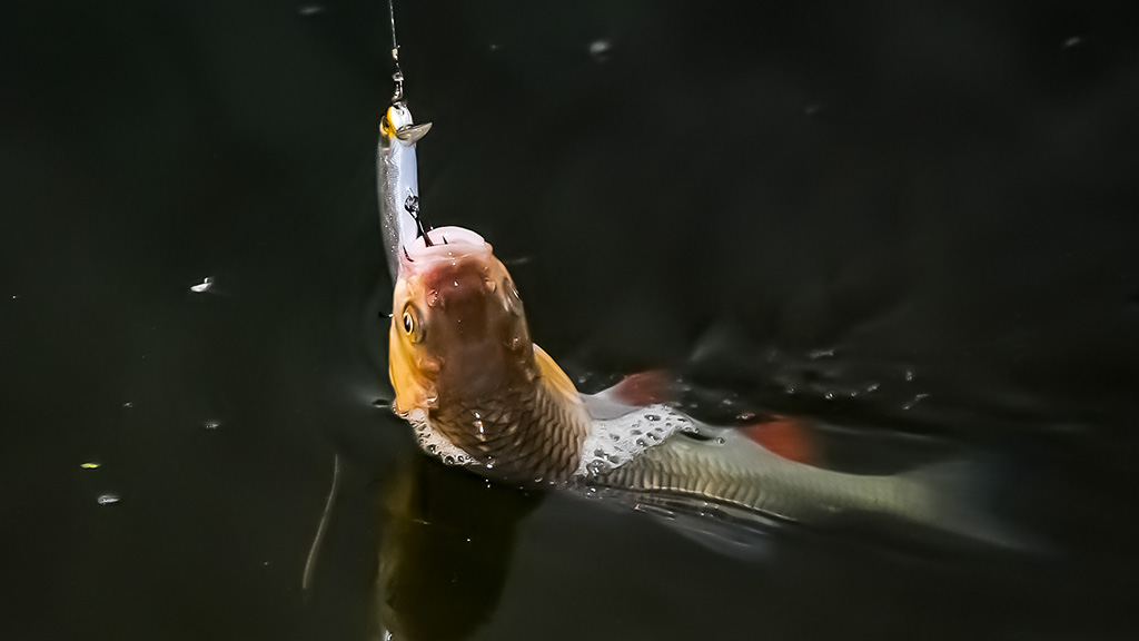 Tritaškis arba kaip nusiraminti Tritaškis arba kaip nusiraminti