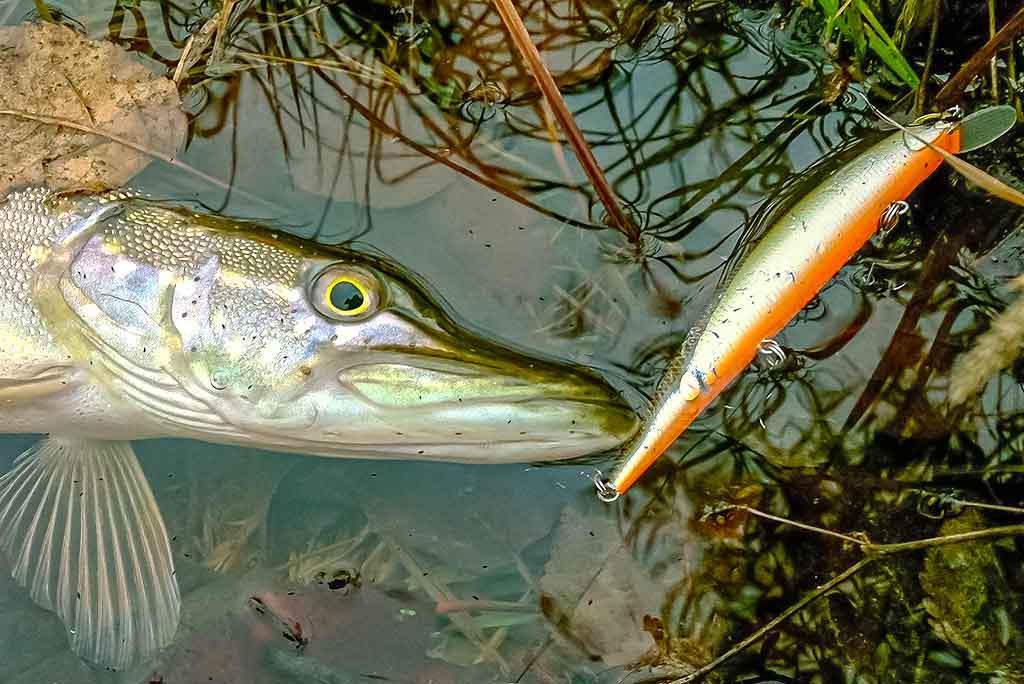 Pakibęs vandens storymėje. Pirma dalis 