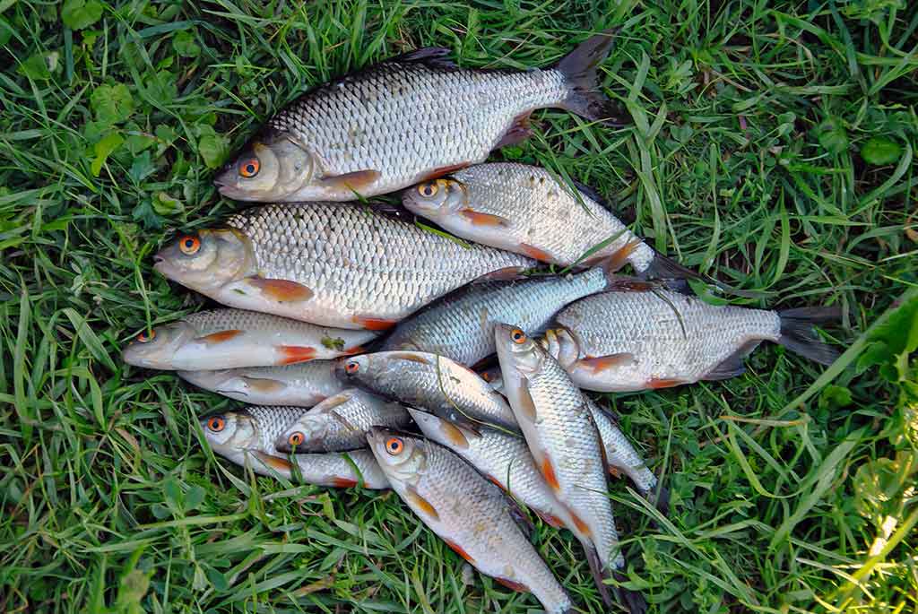 Dar šis bei tas apie kabliukus. Antra dalis Dar šis bei tas apie kabliukus. Antra dalis