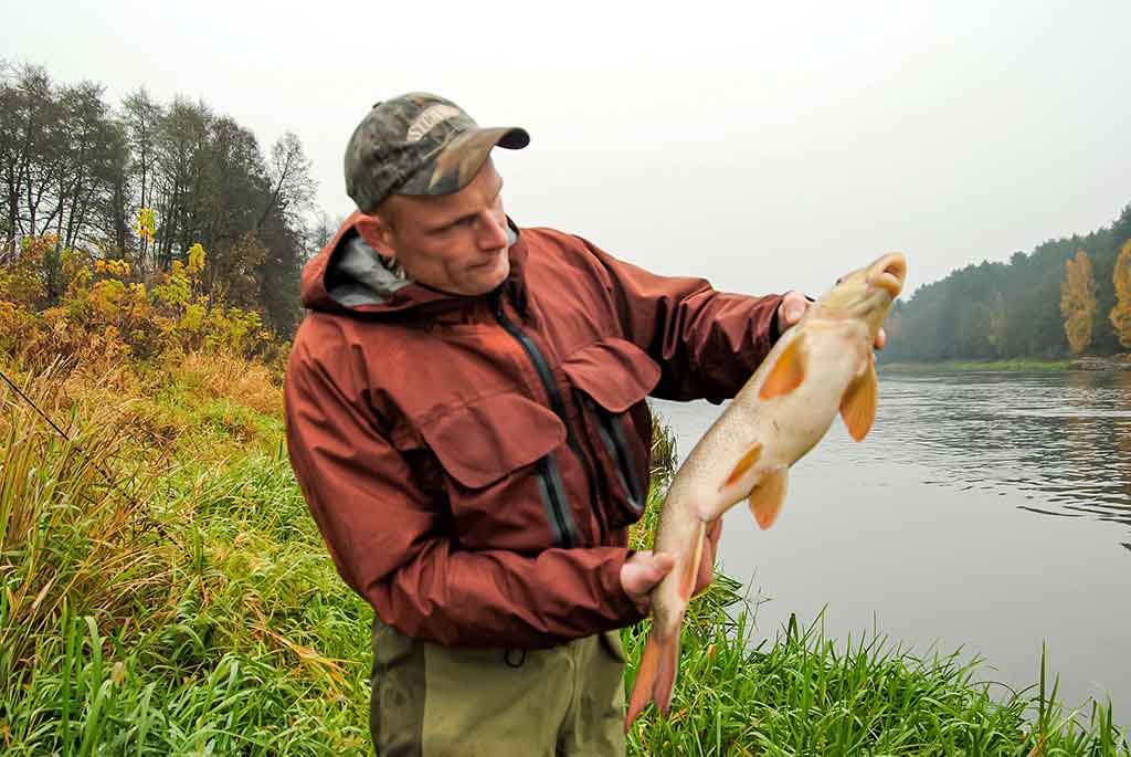 Kaip sutramdyti „arklius“. Antra dalis