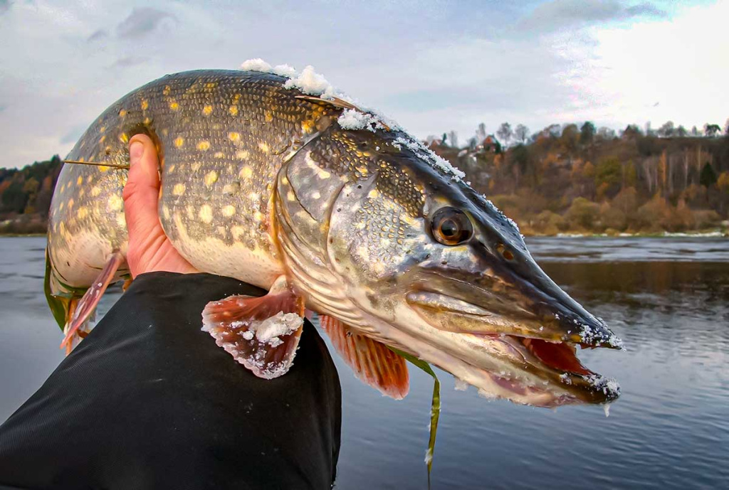 Pirmųjų snaigių burtai