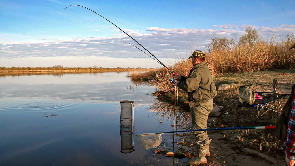 Dugninė. Karklo šaka ar specialus stovelis? Antra dalis