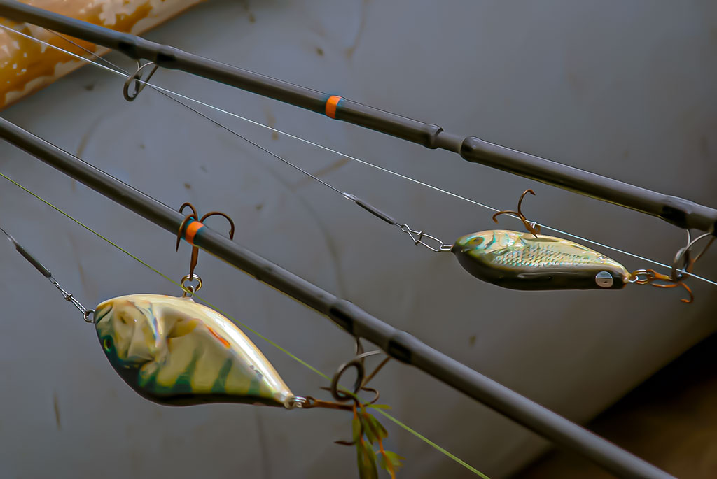 Jerk bait – stambių plėšrūnų masalas Jerk bait – stambių plėšrūnų masalas