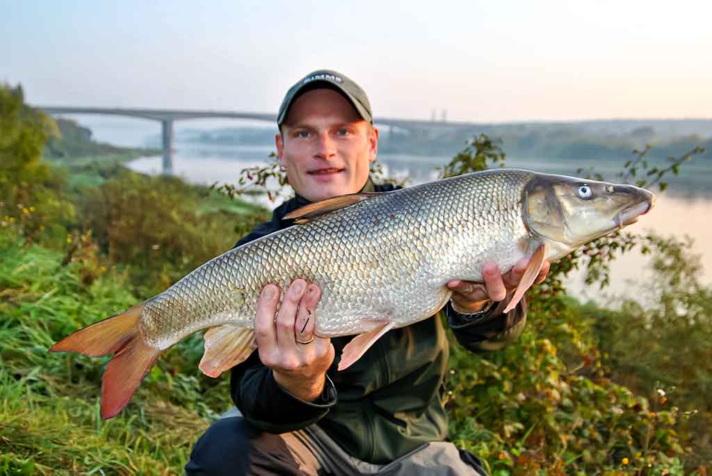 Kaip sutramdyti „arklius“. Antra dalis