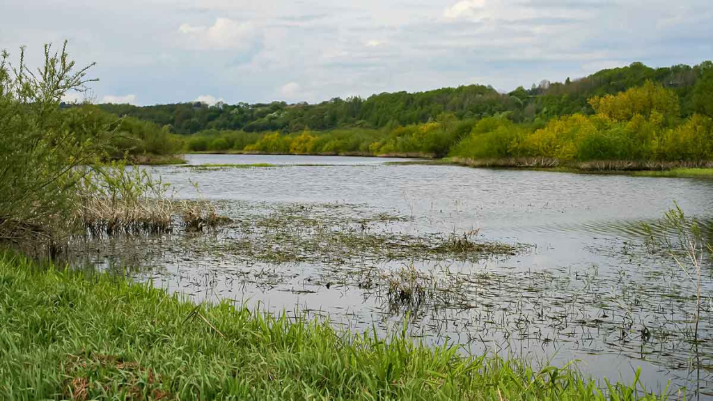 Retai lankomų vandens telkinių lydekos. Pirma dalis Retai lankomų vandens telkinių lydekos. Pirma dalis