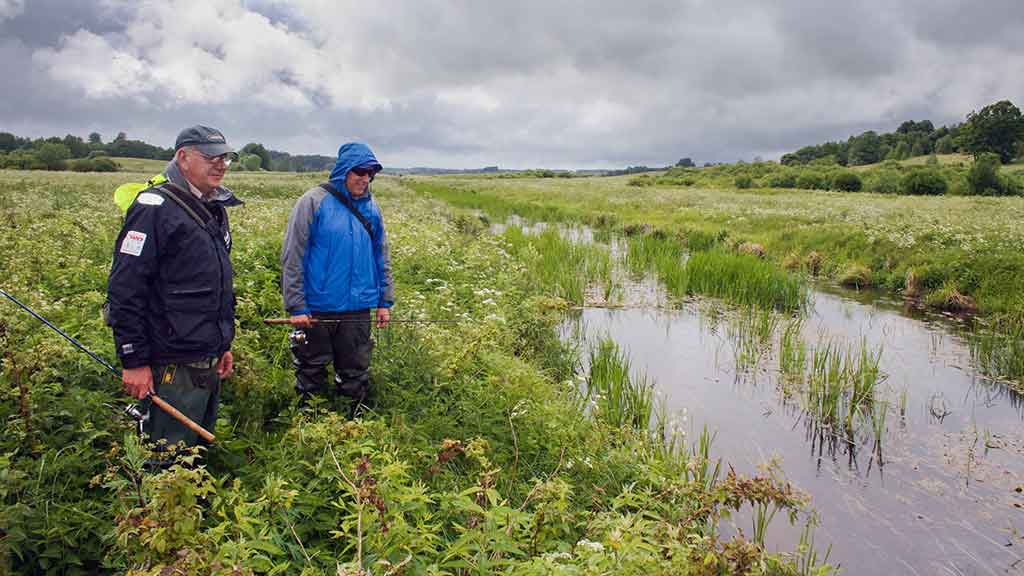 Kas upelyje gyvena. Trečia dalis