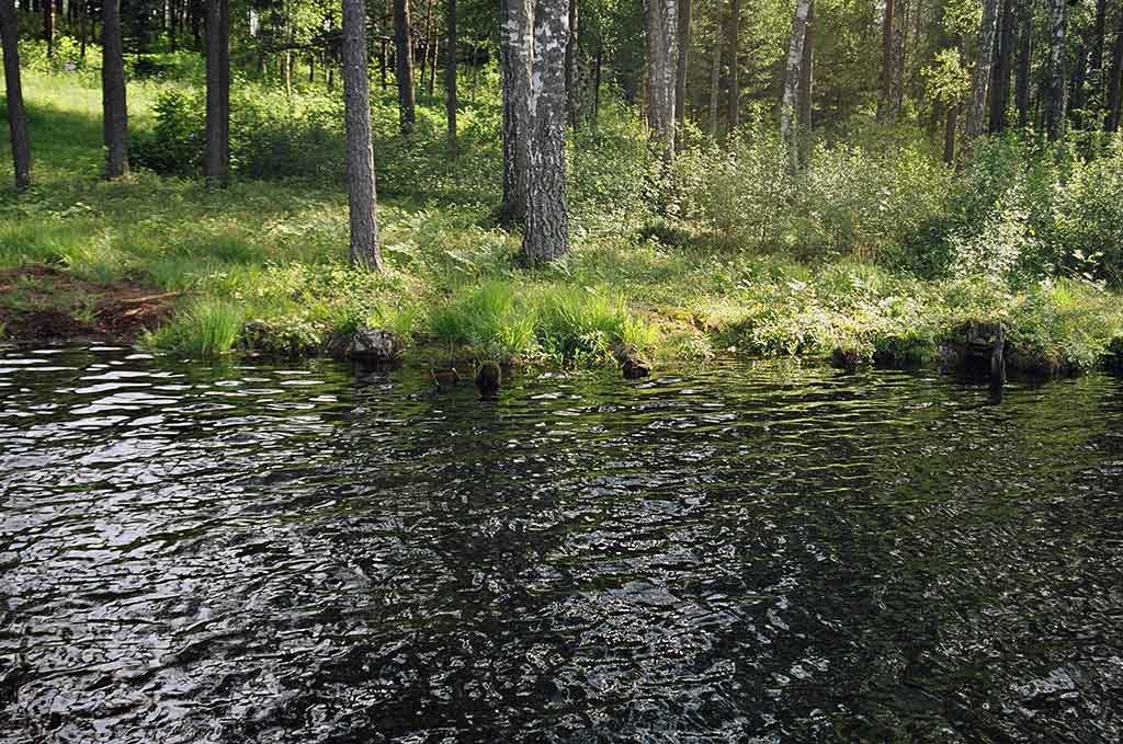 Švento Petro gimtinėje. Pirma dalis Švento Petro gimtinėje. Pirma dalis