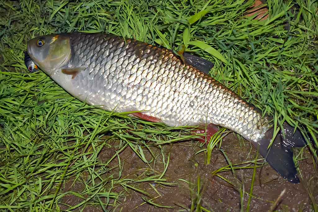 Neįprasta vasara. Antra dalis