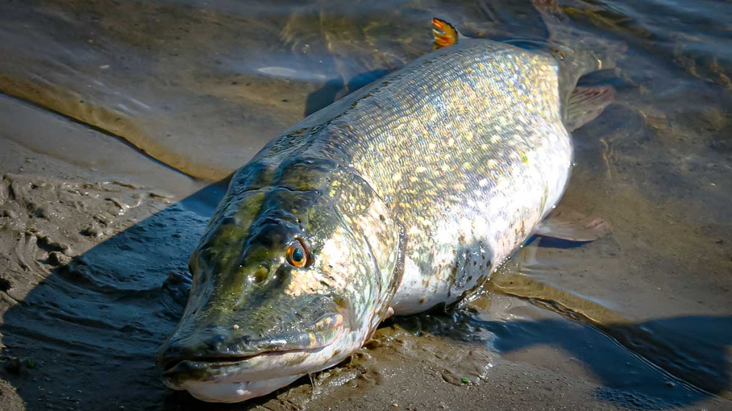 Šalto rudens malonumai