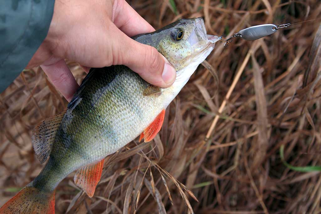 Klasika tapęs metalo gabalėlis. Antra dalis