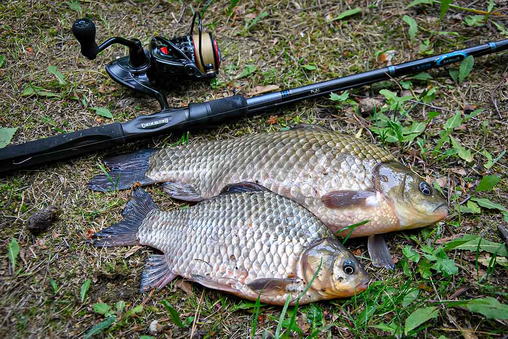Anglys, pluoštai, dervos ir moduliai. Pirma dalis Anglys, pluoštai, dervos ir moduliai. Pirma dalis