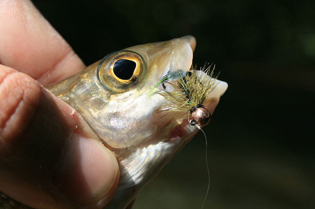 Tarp spiningo ir muselinės. Antra dalis Tarp spiningo ir muselinės. Antra dalis
