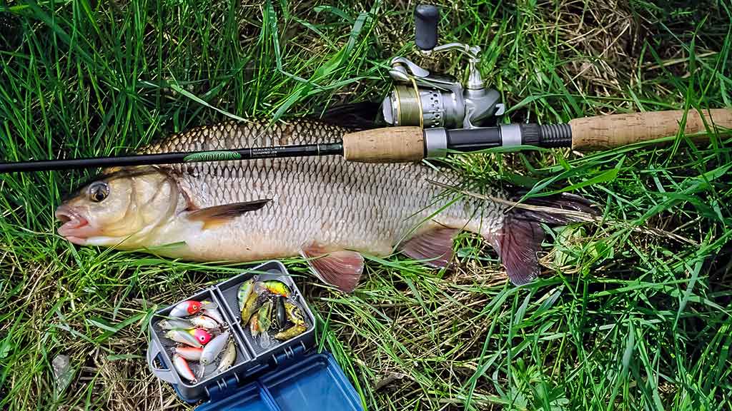 Spiningavimo su lengvais ir mažais plaukiančiaisiais vobleriais technika Spiningavimo su lengvais ir mažais plaukiančiaisiais vobleriais technika