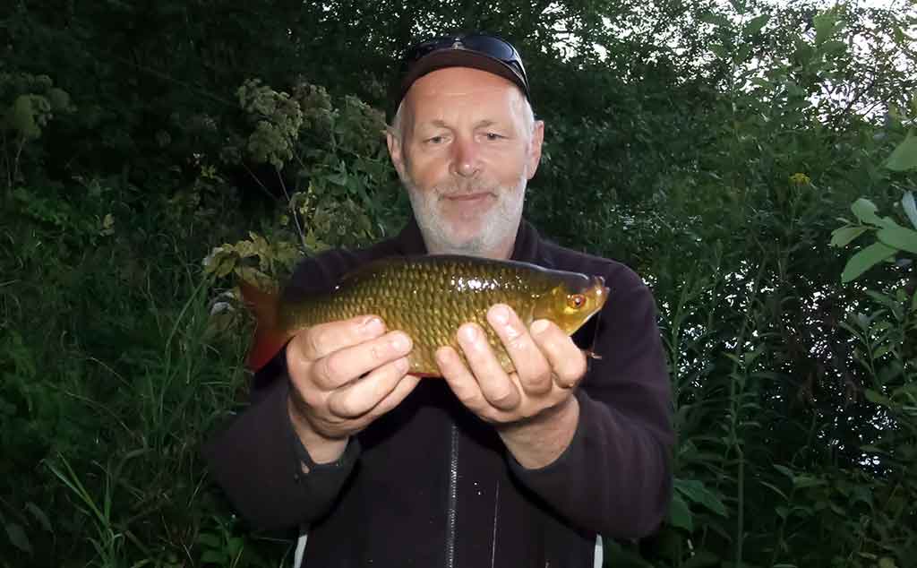 Tenenio upėje sutemose galima sumeškerioti pačias stambiausias raudes