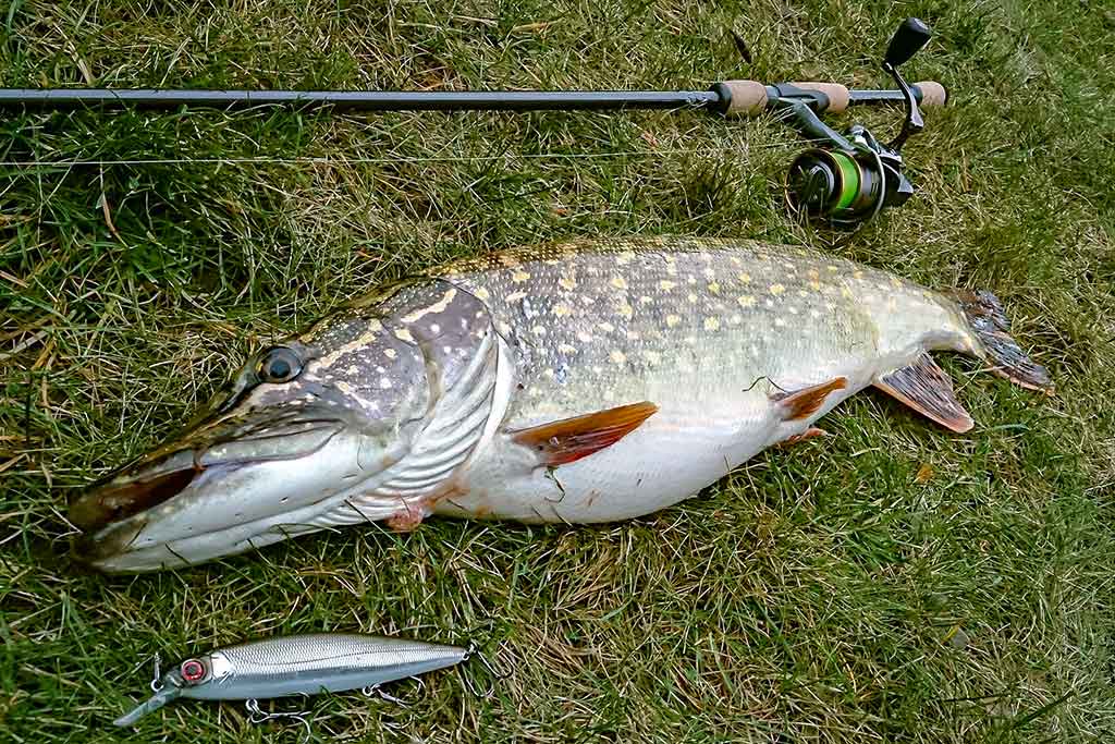 Švyst! Ir nuskrido... Trečia dalis Švyst! Ir nuskrido... Trečia dalis