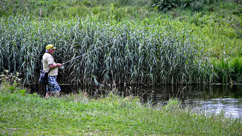 Didelė mažų svarelių reikšmė. Trečia dalis Didelė mažų svarelių reikšmė. Trečia dalis