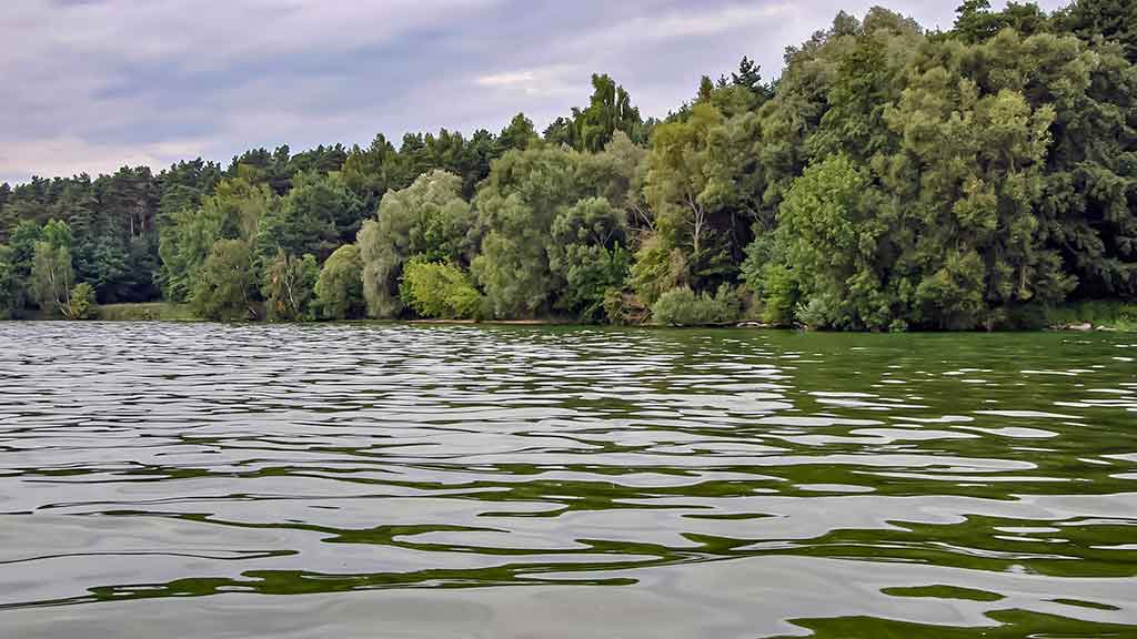 Kuomet sterkai pakyla. Pirma dalis