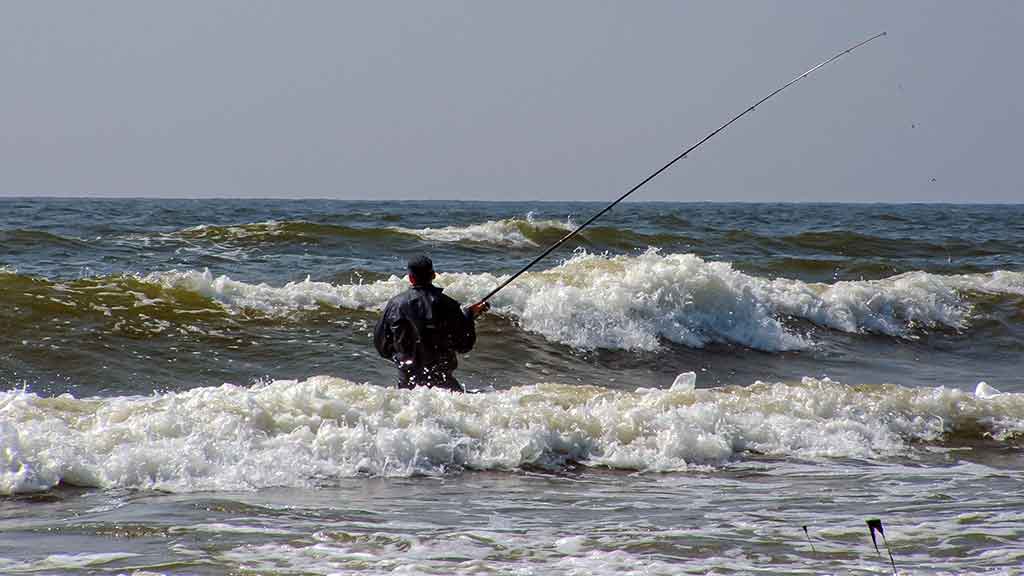 Kaip pagauti Baltijos plekšnę. Toli ir giliai Kaip pagauti Baltijos plekšnę. Toli ir giliai
