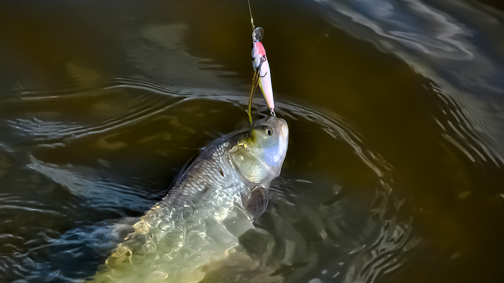 Tritaškis arba kaip nusiraminti Tritaškis arba kaip nusiraminti