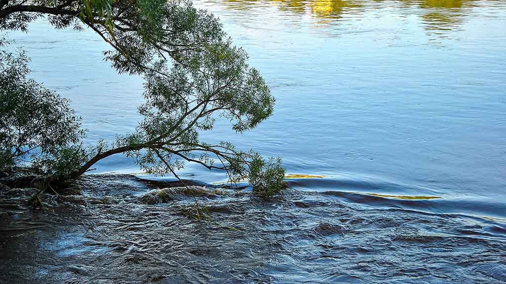 Šapalai mėgsta saulėtą orą