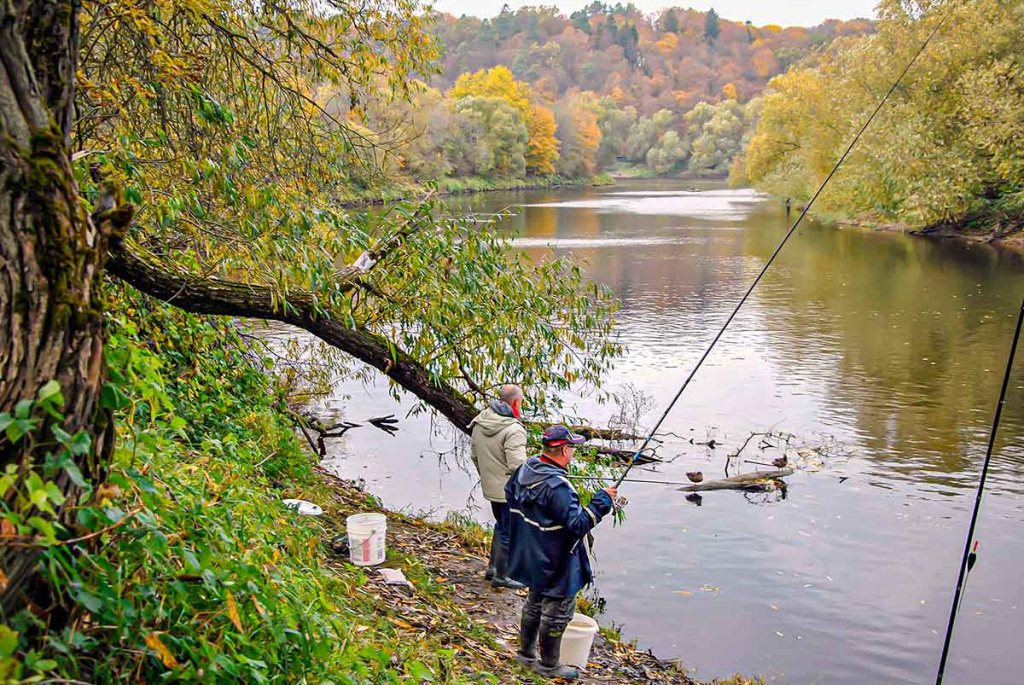 Dar ne laikas mest į kampą meškerę Dar ne laikas mest į kampą meškerę