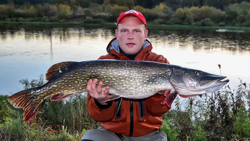 Vieną rudenį prie Nemuno dambų