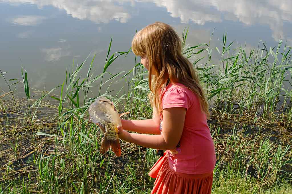 Karpių gaudymo vingrybės. Jaukai, masalai, kvapai