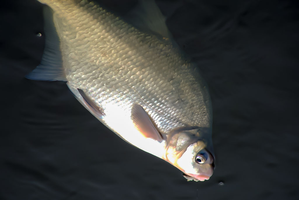 Dar šis bei tas apie kabliukus. Antra dalis Dar šis bei tas apie kabliukus. Antra dalis