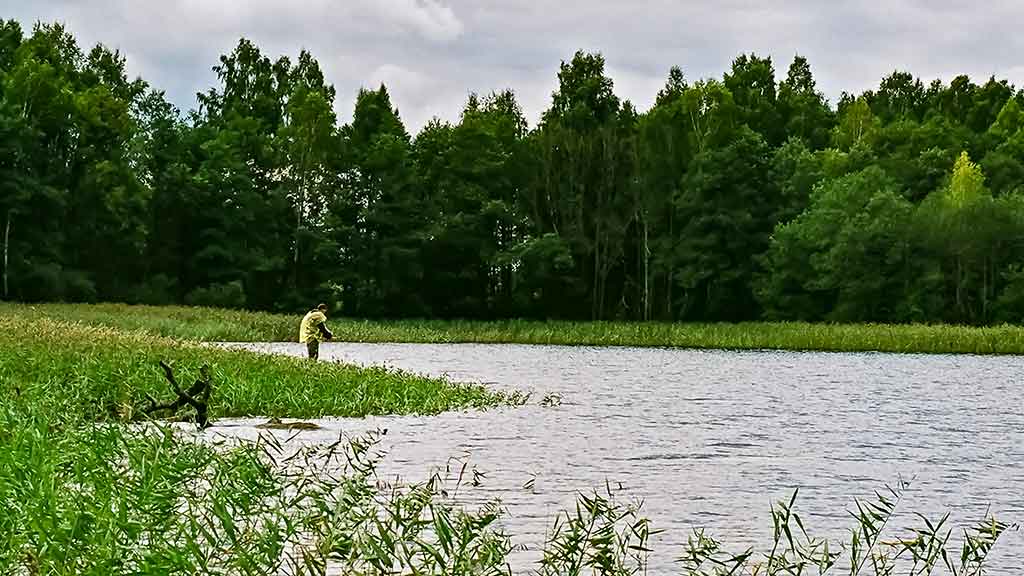 Apie vėją, nuskandintą valą ir karšiams skirtą waggler Apie vėją, nuskandintą valą ir karšiams skirtą waggler